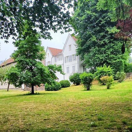 Domaine De La Moselle Bed & Breakfast Saint-Maurice-sur-Moselle Exterior foto