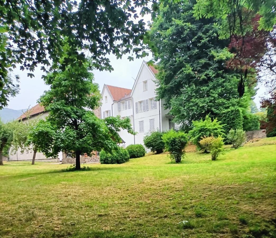 Domaine De La Moselle Bed & Breakfast Saint-Maurice-sur-Moselle Exterior foto
